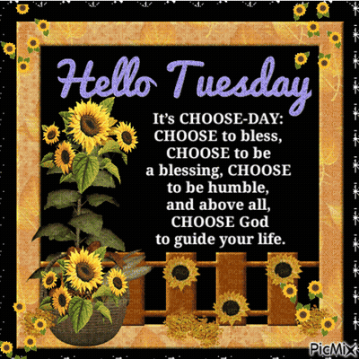 Sunflowers Hello Tuesday GIF