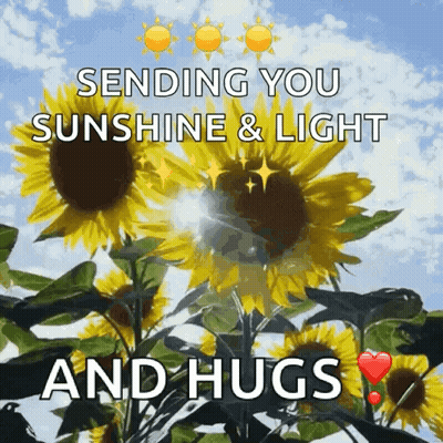 Sunflowers Sending Hugs GIF