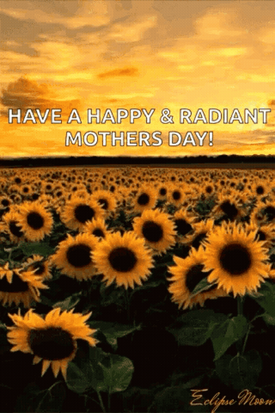 Sunflowers With Happy Mother's Day GIF
