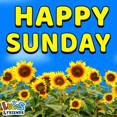 Sunflowers With Happy Sunday Lucas And Friends GIF