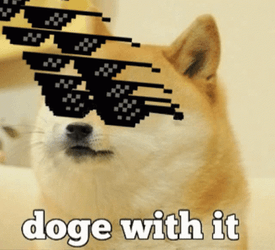 Sunglasses Swag Doge Meme GIF
