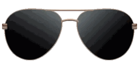 Sunglasses With Black Lenses And Gold Frame Sticker