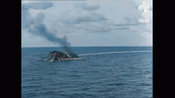 Sunk You Battleship Meme GIF