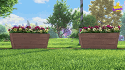 Sunny Bunnies Looking For Something GIF