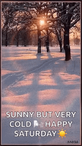 Sunny Cold Saturday In Snowy Park GIF