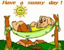 Sunny Saturday Hammock GIF