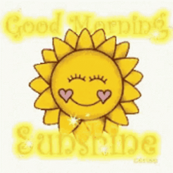 Sunny Saturday Morning Sunshine GIF