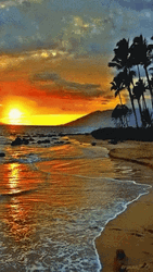 Sunrise Tropical Beach