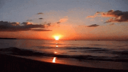 beach sunset gif tumblr