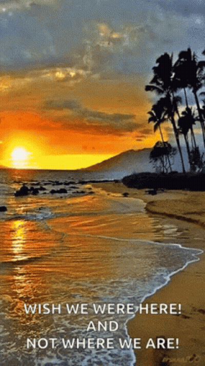 Sunset Beach Wish We Were Here And Not Where We Are GIF