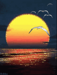 Sunset Birds Animation