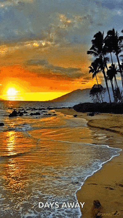 Sunset On Beach Days Away GIF