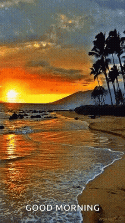 Sunset On Beach Saying Good Morning GIF