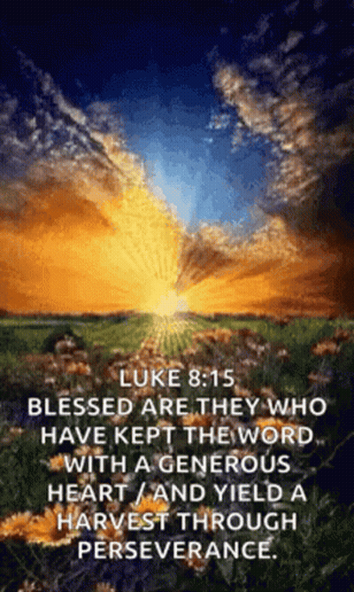Sunset Over Flower Field With Bible Verse GIF