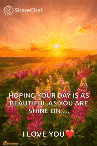 Sunset Over Flower Field With Hopeful Message GIF