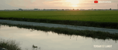 Sunset Over Lush Green Field With YouTube Watermark GIF