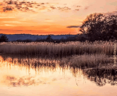 Sunset Over Water Franwhiteside GIF