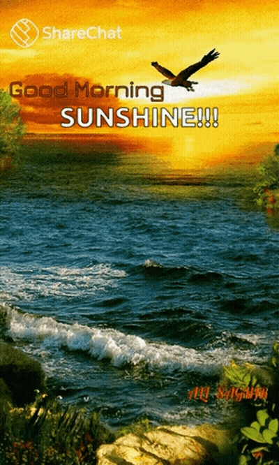 Sunset Over Water Saying Good Morning Sunshine GIF