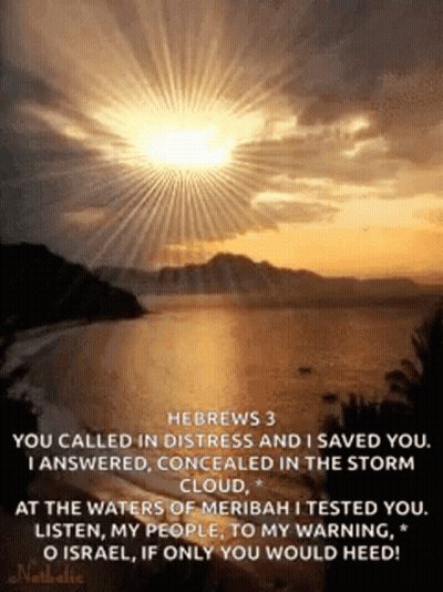 Sunset Over Water With Bible Verse GIF
