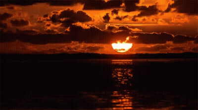 Sunset Over Water With Bird In Distance GIF