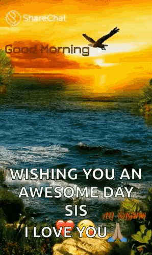Sunset Over Water With Flying Bird GIF