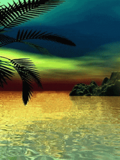 Sunset Over Water With Palm Trees GIF