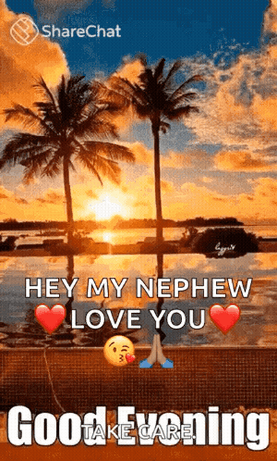 Sunset Over Water With Palm Trees Saying Hey My Nephew Love You Good Evening GIF