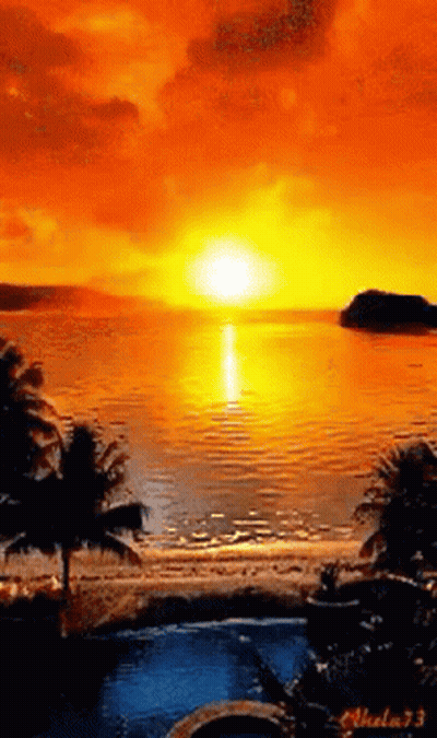 Sunset Over Water With Palm Trees GIF