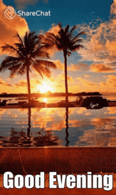 Sunset Palm Trees Good Evening GIF