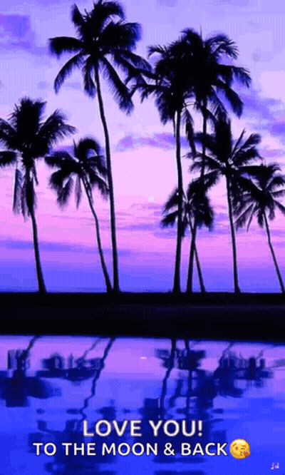 Sunset Palm Trees Love You To The Moon And Back GIF