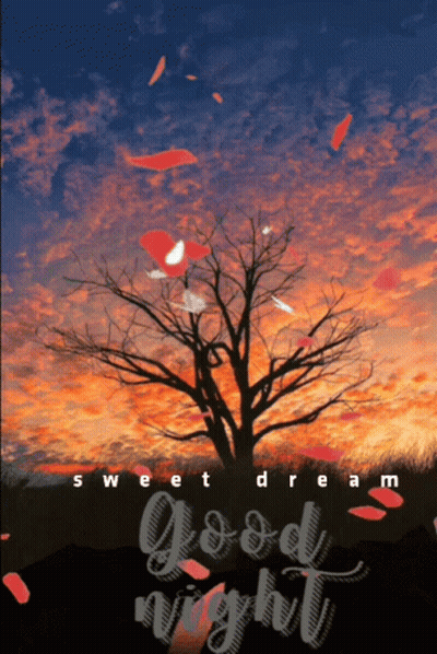 Sunset Tree Sweet Dream Good Night GIF