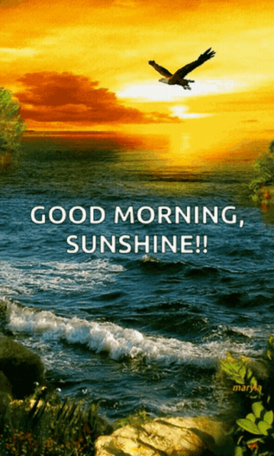 Sunset Water Good Morning Sunshine GIF