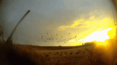 Sunset With Birds Flying GIF