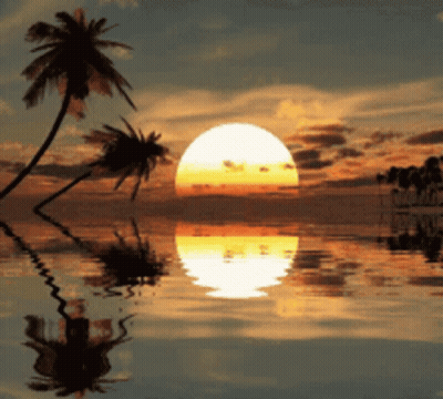 Sunset With Palm Trees