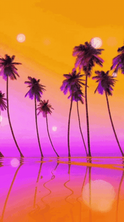 Sunset With Palm Trees Saying Good Night GIF