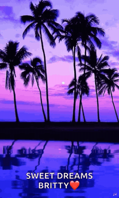 Sunset With Palm Trees Sweet Dreams Britty GIF