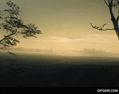 Sunset With Tree and gifgari.com