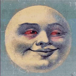 Sunshine Love GIF