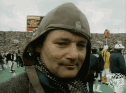 Super Bowl Shuffle Fan Wear Bear Down Cap GIF