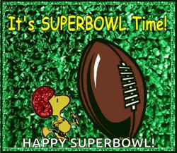 Super Bowl Time Woodstock Baseball GIF