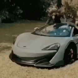 Super Car Push Monkeys GIF