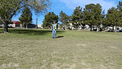 Super Car Red Drive Cruising  GIF