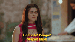 Super Idiot Lady GIF