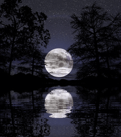 Super Moon Reflecting On Water GIF