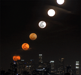 Super Moon Timelapse Above City Buildings GIF
