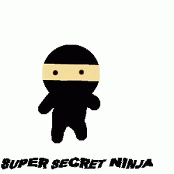 Super Secret Ninja Jumping Out GIF