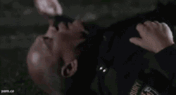 Super Troopers Got Caught GIF