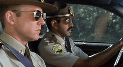 Super Troopers Security Looking GIF