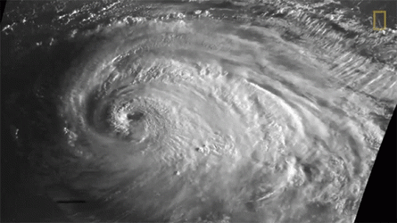 Super Typhoon The Perfect Storm  GIF