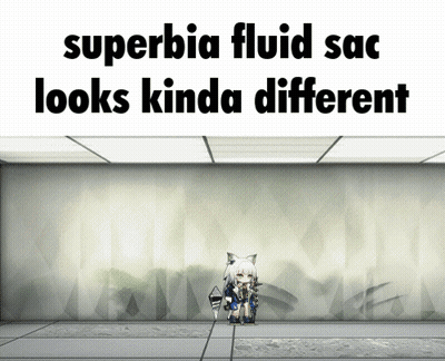 Superbia Fluid Sac Looks Kinda Different Written On A White Wall GIF